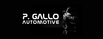 Logo Gallo Pietro srl